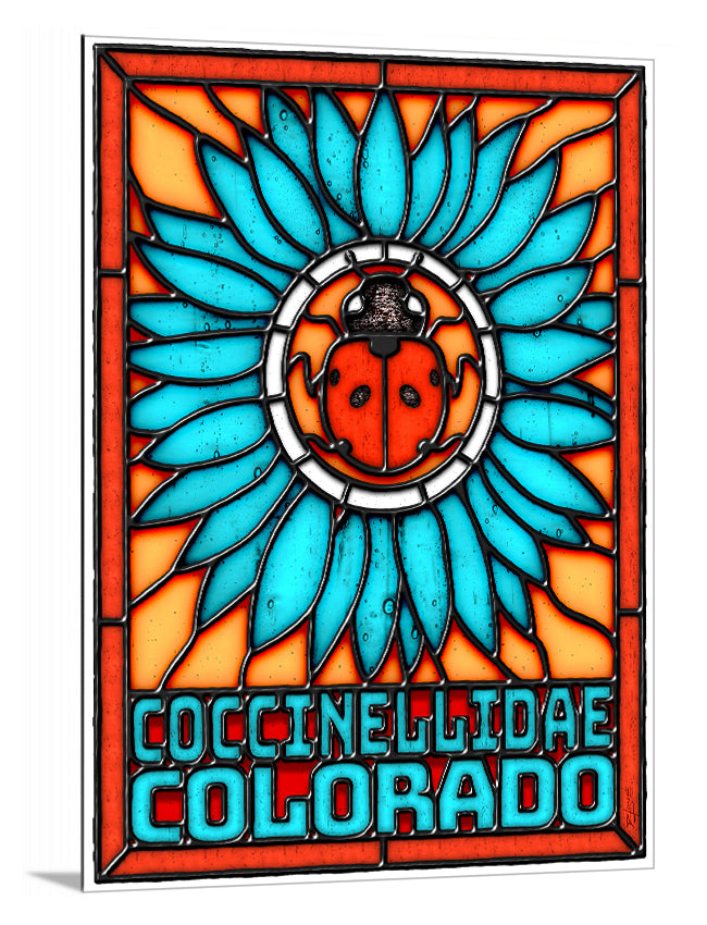 Lady Bug CO - Postcard