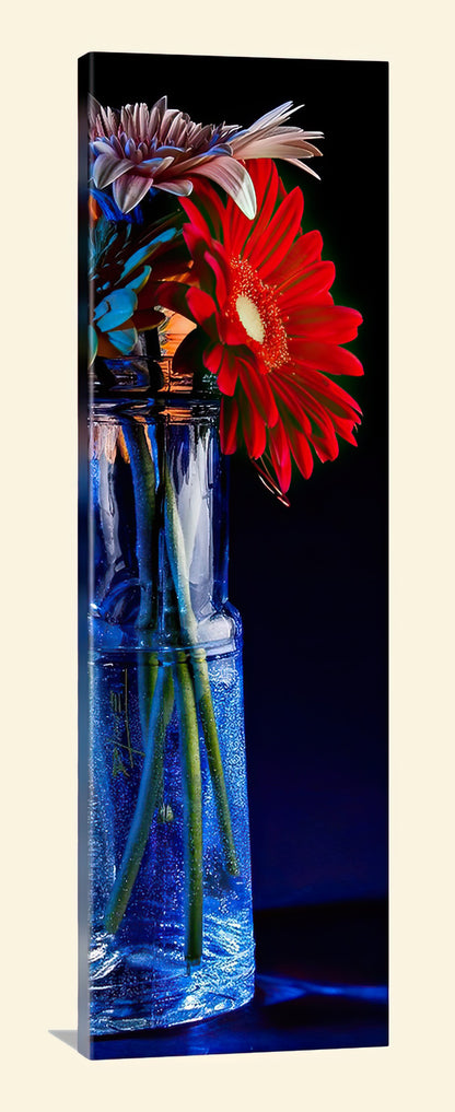 DL - Saturated Grace